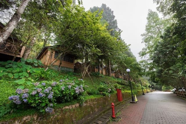 力麗馬告生態園區｜明池山莊-林間四人房-5