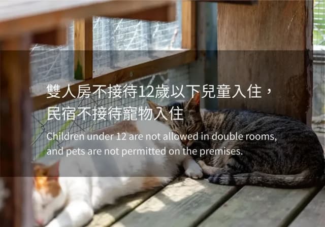 Seeking-Alishan Sunrise-Double Room with Mountain View-2