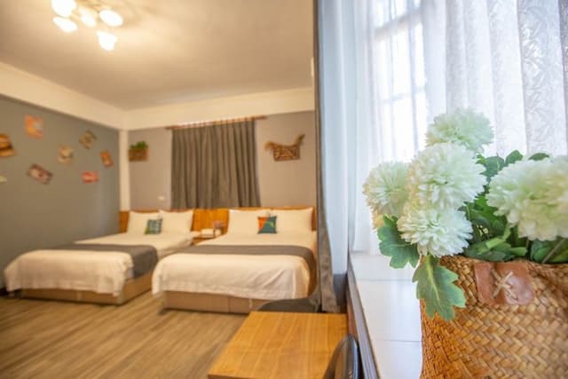 A Xin Homestay-Elephant-6