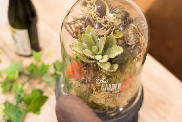 Near Ueno/Asakusa#3mins to Skytree#60㎡ cozy room  D-Oshiage 302-8