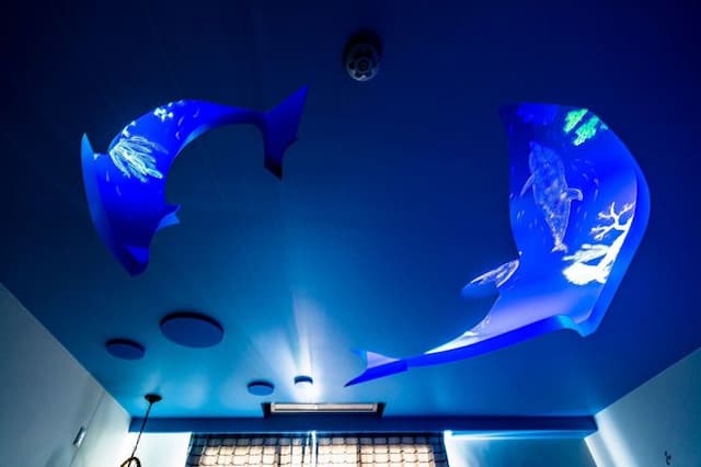 海洋之星 之 海洋星空彩繪