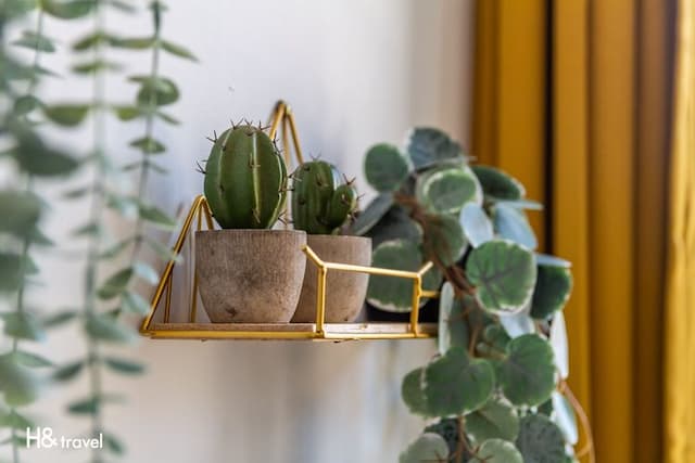 Sleepier Multi-Minsu Tainan-Twin Room with Private Bathroom-9