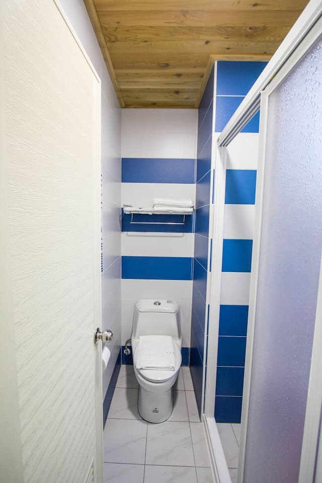 芯春ホームステイ-Taiwan Cherry 緋寒櫻-5