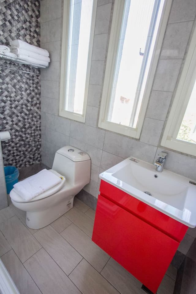 芯春ホームステイ-Plumbago 藍雪花-5