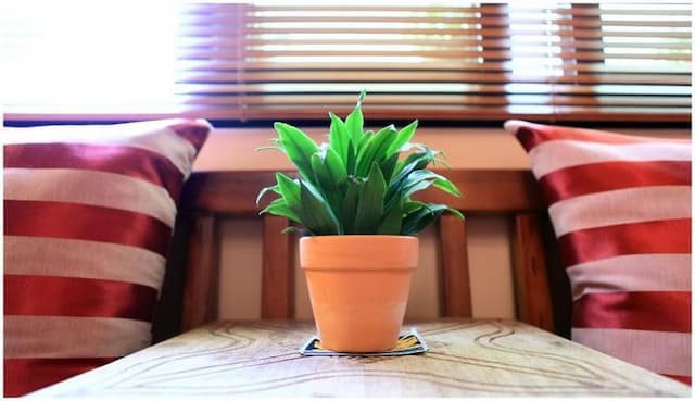 怡然居攝影風格民宿｜風格房型｜慢活花蓮-峇里島雙人房-8