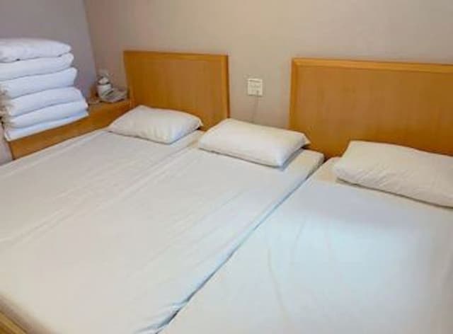 仙渡莊旅社-日式通鋪房(2-3人)-4