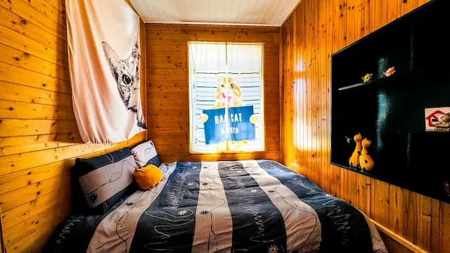 清境31民宿-貓咪親子6人房-11