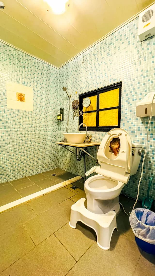 清境31民宿-貓咪親子6人房-5