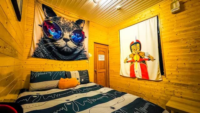 清境31民宿-貓咪親子6人房-13