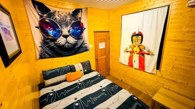 清境31民宿-貓咪親子6人房-7