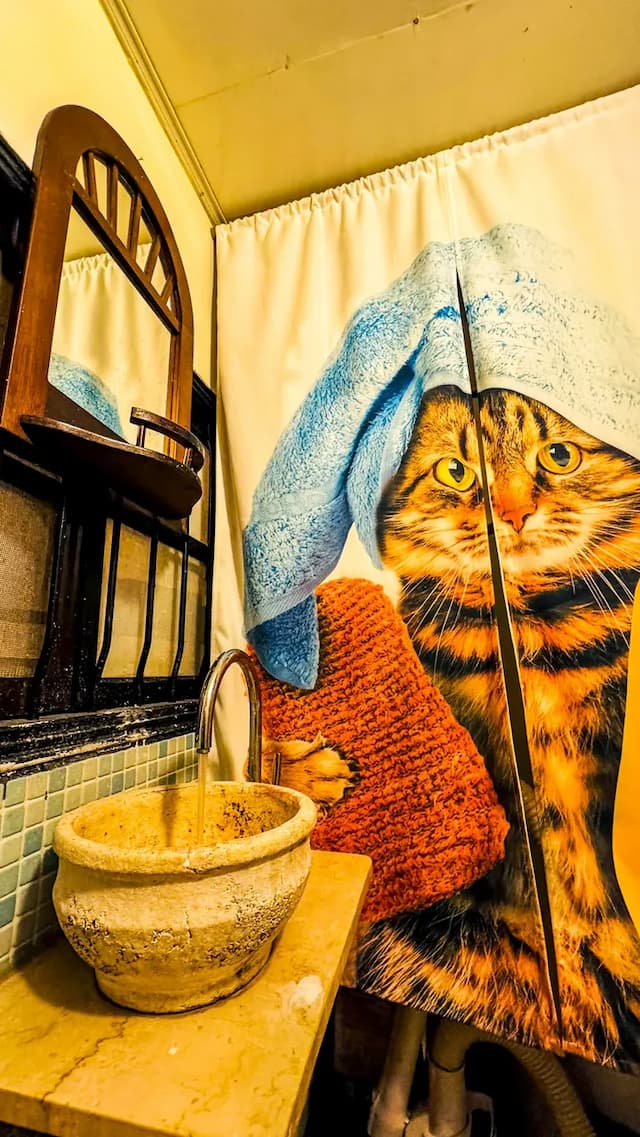 清境31民宿-貓咪親子6人房-4