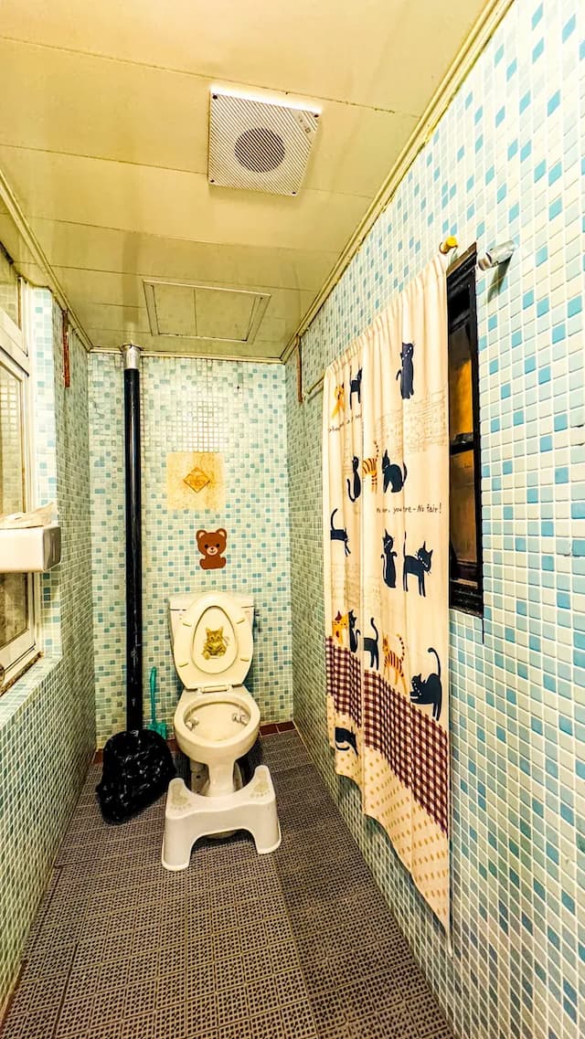 清境31民宿-貓咪親子6人房-9