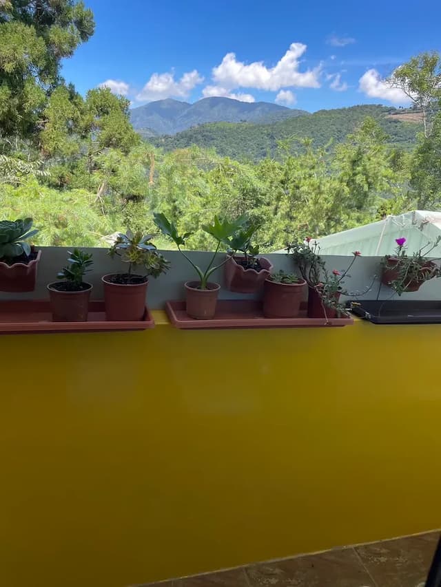 果色天香-201蜜蘋果雙人房-6