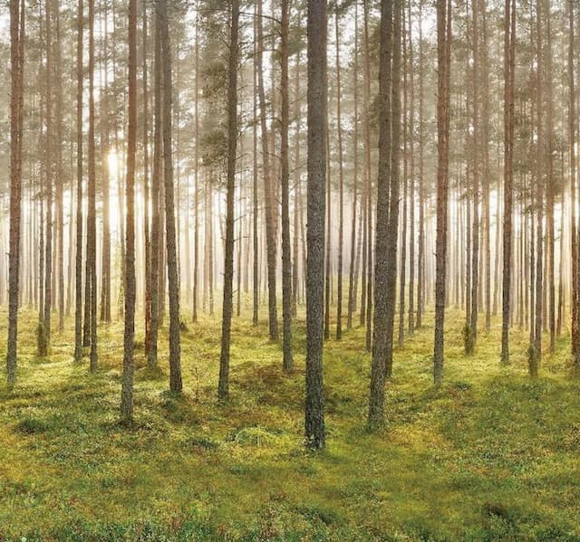 La Fleur BnB & Restaurant-Japanese Deluxe Family Suite-5