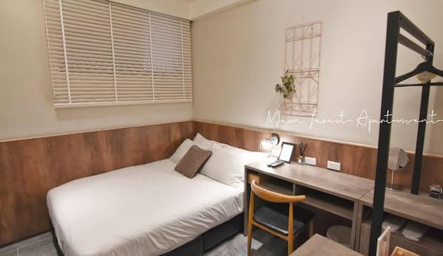 Morn Forest 。 Travel-city room-1