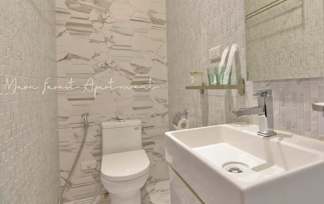 Morn Forest 。 Travel-city view-7