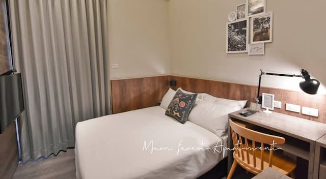 Morn Forest 。 Travel-city view-1