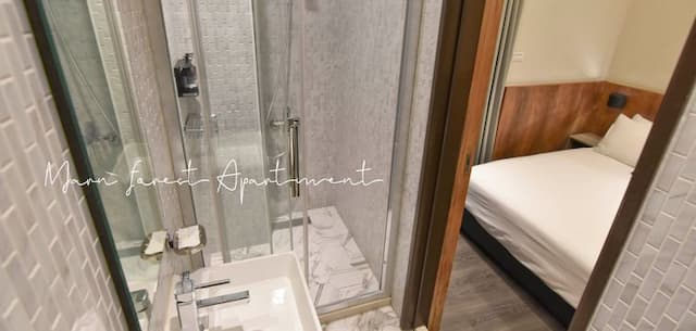 Morn Forest 。 Travel-city view-5