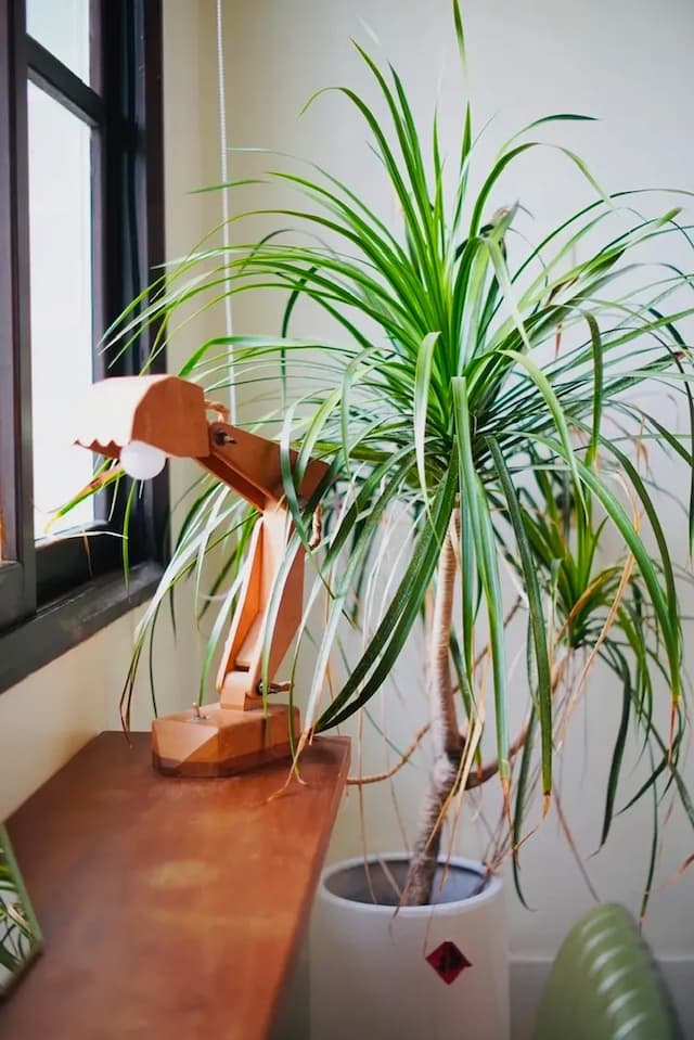 六宿民宿 l 可12-16人台南包棟 | 寵物友善 | 麻將&廚房 | 光陰老宅-四人小天地-4