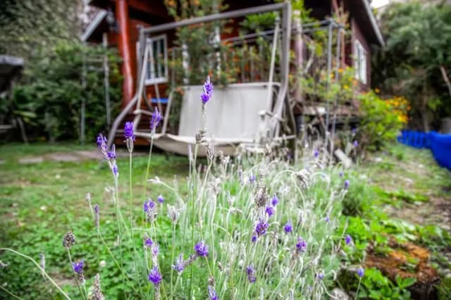 清境 境星雲-藍天花園-雙臥室小木屋-7