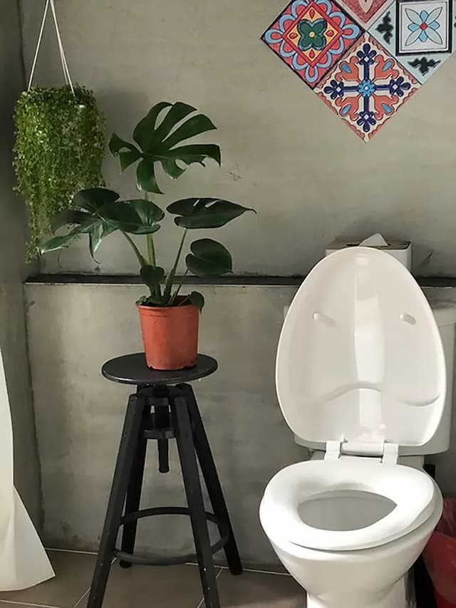 左左拉輕旅-加大雙人房－附陽台2B-14