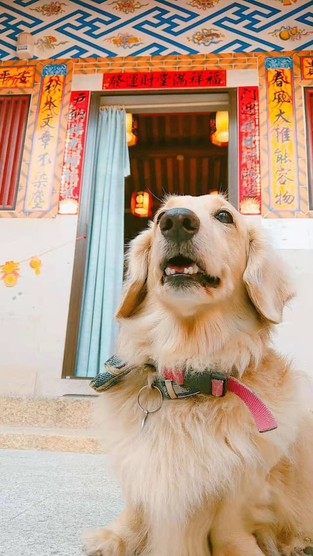 珠山娜一家-二館－秋水房-6