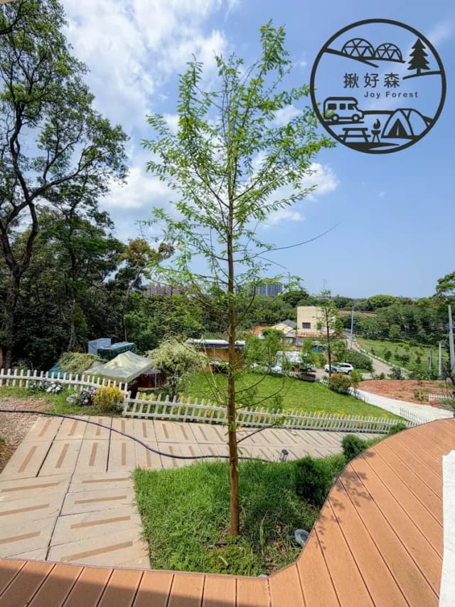 揪好森 Joyforest｜桃園楊梅森林包場豪華帳篷-熱氣球房-4