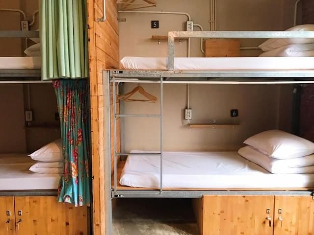 62巷背包客棧-女性宿舍房 (1個上下舖床位)-1