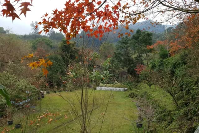 土牧驛健康農莊 | 獨家85折起！頂級原木小木屋、清澈溪流戲水、深山森林浴-【土牧驛營區】自搭帳E區營位4帳_包區-4
