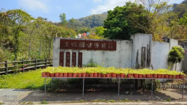 茄冬區_1