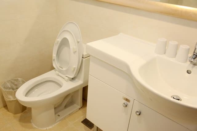 金沙大地國際渡假飯店-法蘭西精緻客房-8