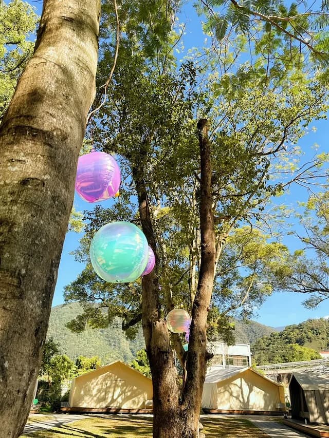 緣溪行森林營地｜送迎賓點心、親子友善-【豪華露營】森林遊獵帳-8