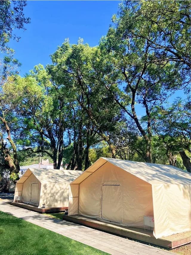 緣溪行森林營地｜送迎賓點心、親子友善-【豪華露營】森林遊獵帳2-1