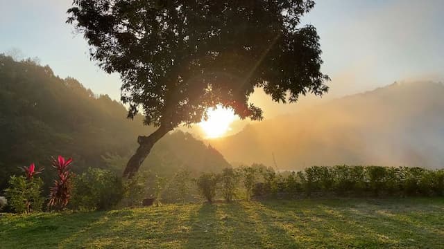 山上林園南投包棟民宿｜可選購34人包棟房型-34人包棟-7