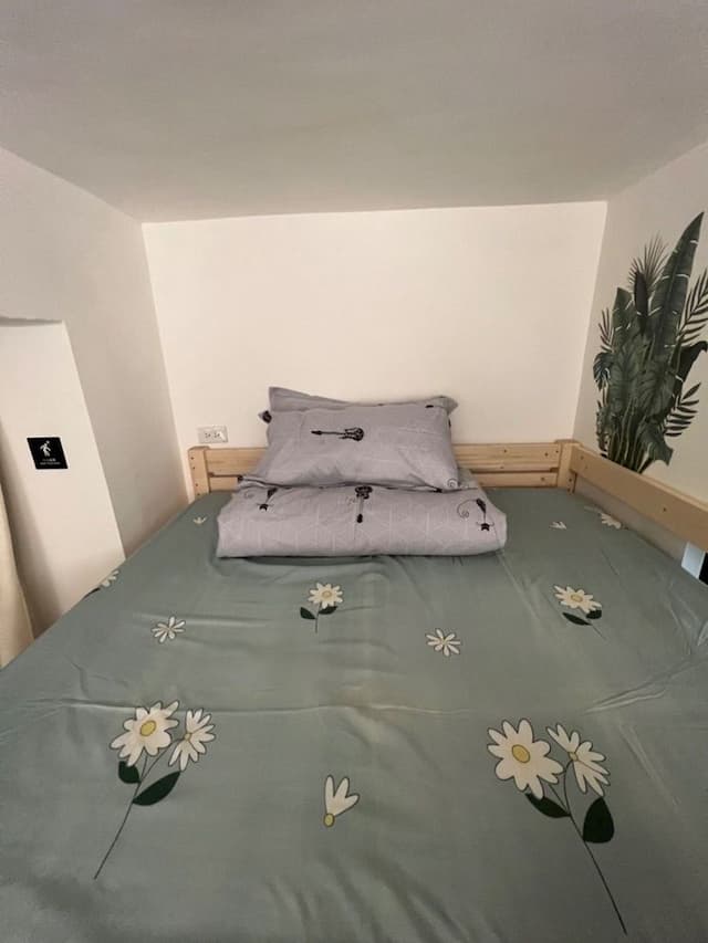 black kitten BNB-Green Space Cozy Double Room-4