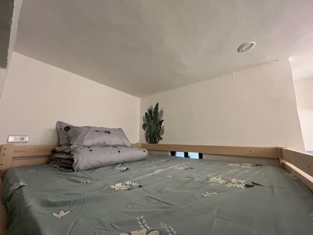 black kitten BNB-Green Space Cozy Double Room-3