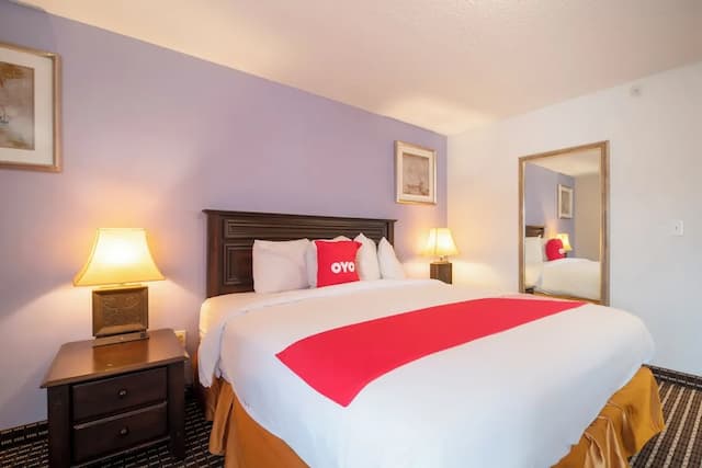 OYO 타운하우스 휴스턴 에어포트 노스-룸, 킹사이즈침대 1개, 금연-2