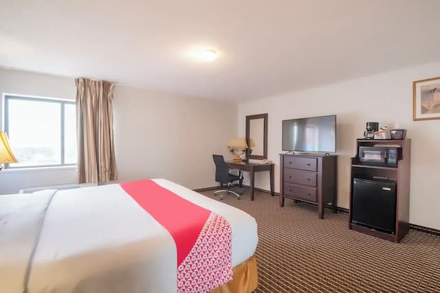 OYO 타운하우스 휴스턴 에어포트 노스-주니어 스위트-5