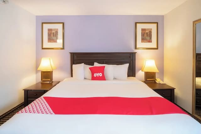 OYO 타운하우스 휴스턴 에어포트 노스-주니어 스위트-9