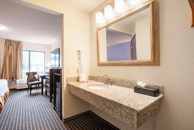 OYO 타운하우스 휴스턴 에어포트 노스-룸, 킹사이즈침대 1개, 금연 (Accessible)-5