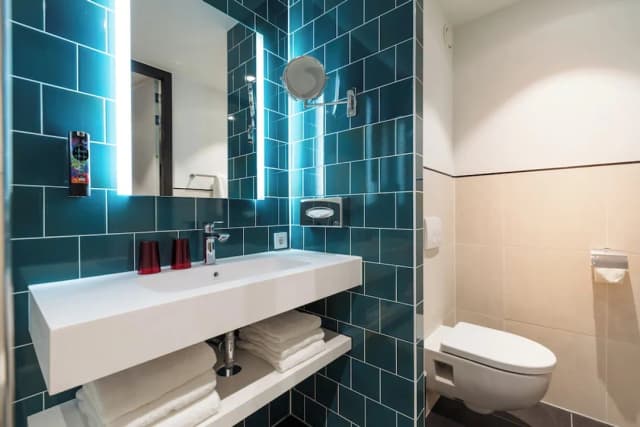 阿姆斯特丹 Holiday Inn - the niu, Fender IHG 旗下酒店-特級客房, 1 張加大雙人床, 海港景-11