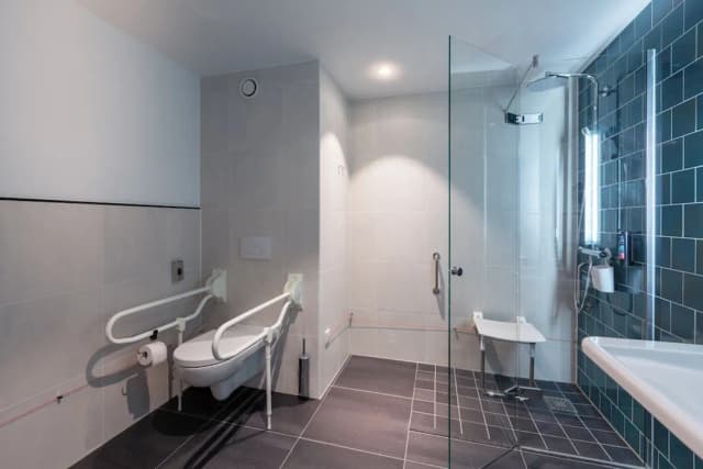 阿姆斯特丹 Holiday Inn - the niu, Fender IHG 旗下酒店-標準客房, 1 張加大雙人床, 無障礙-1