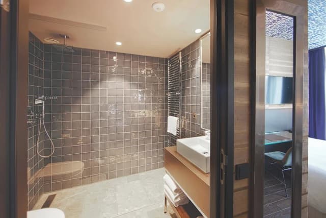 아폴로 호텔 암스테르담, 어 트리뷰트 포트폴리오 호텔-디자인룸, 킹사이즈침대 1개-9