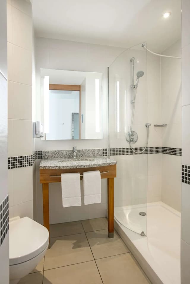 ハンプトン バイ ヒルトン アムステルダム / アリーナ ブレヴァール-ルーム クイーンベッド 1 台ソファーベッド付き-6