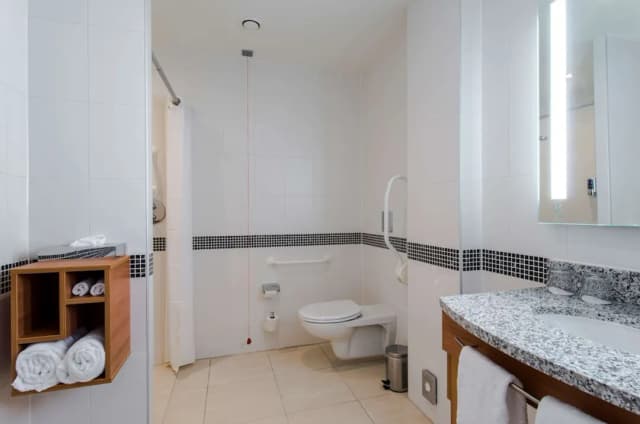 ハンプトン バイ ヒルトン アムステルダム / アリーナ ブレヴァール-ルーム クイーンベッド 1 台ソファーベッド付き バリアフリー-5