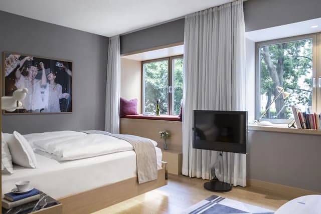 더 게스트하우스 비엔나-디럭스 더블룸, 장애인 지원, 공원 전망 (1. Stock)-5