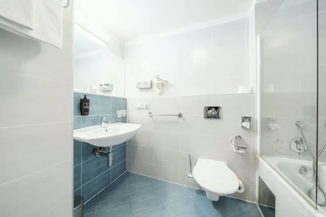 Hotel Ehrlich Prague-Standard Double or Twin Room-10