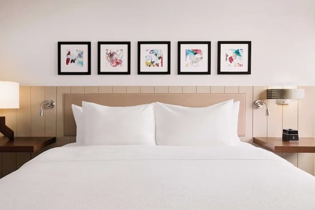 Hilton Garden Inn LAX Los Angeles Airport-客房, 1 张特大床 (Roll-In Shower)-4