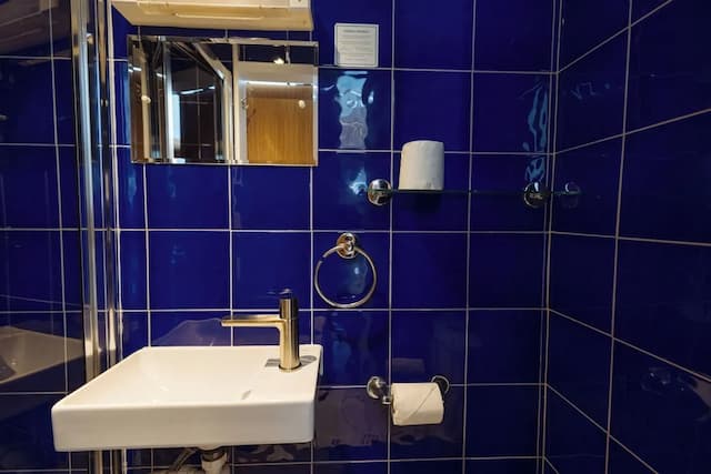 Central Hotel-Deluxe Double Room, Ensuite, Garden View (OASIS)-16