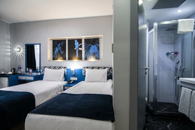 라피스 인 호텔 & 스파-Central Twin Room for Friends - Business Travelers-3